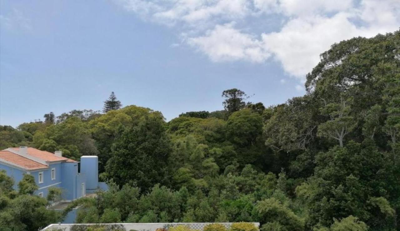 Arquinha Apartman Ponta Delgada Kültér fotó
